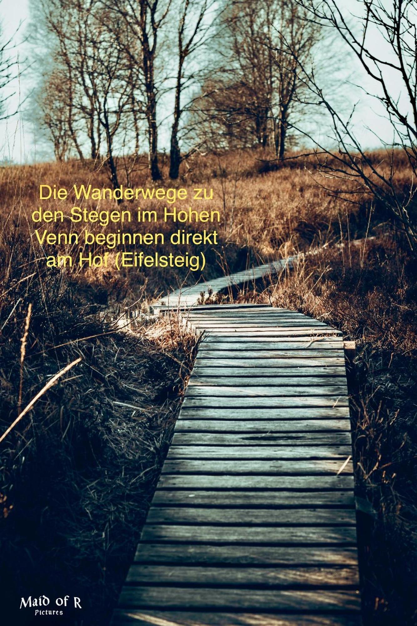 Hof Vierzehnender Im Hohen Venn - 70Qm Maisonette - 2 Schlafzimmer - Wohnkueche - Balkon Mit Grill - Monschau - Eifel - Hunde Willkommen - Islandpferde Exterior photo
