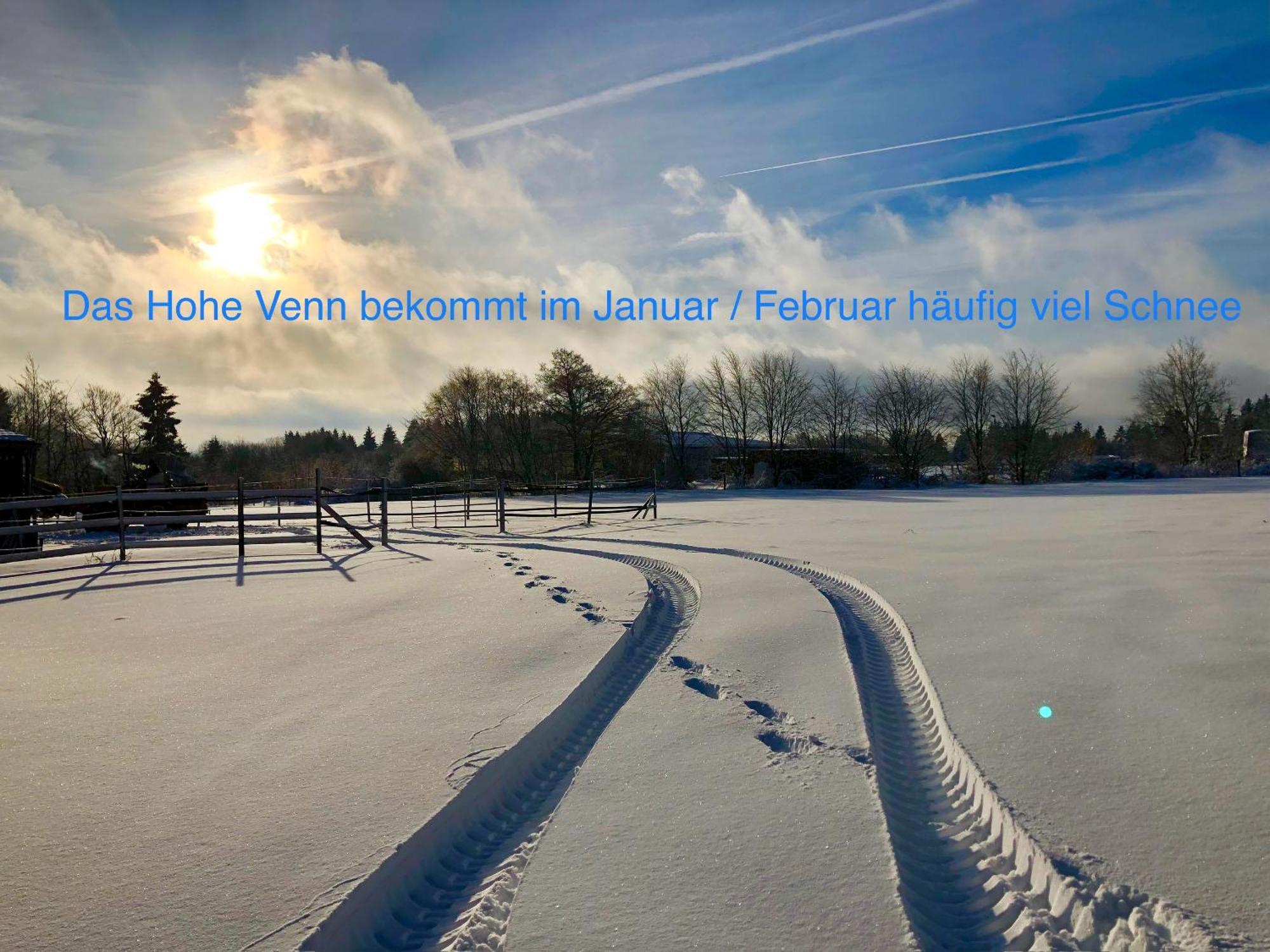Hof Vierzehnender Im Hohen Venn - 70Qm Maisonette - 2 Schlafzimmer - Wohnkueche - Balkon Mit Grill - Monschau - Eifel - Hunde Willkommen - Islandpferde Exterior photo